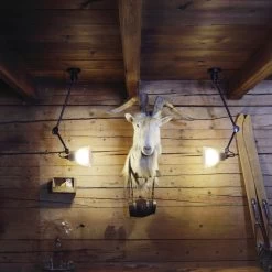 Lampe Gras N°304 L40cm By La Lampe Gras 9 Lampe Gras N°304 L40cm By La Lampe Gras -Lighting Store 3042